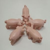 Profilová fotografie