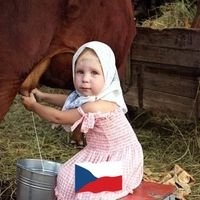 Profilová fotografie