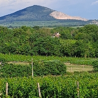 Profilová fotografie