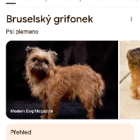 Profilová fotografie