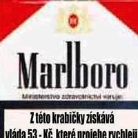Profilová fotografie
