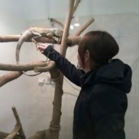 Profilová fotografie