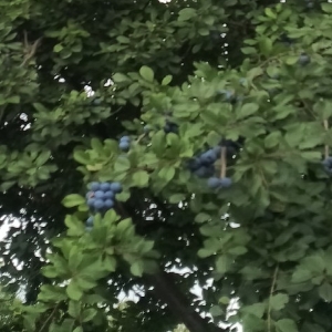 Profilová fotografie